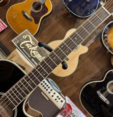 Takamine TSP138C BS_5