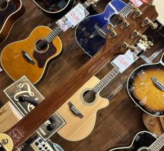 Takamine TSP138C BS_7