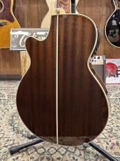 Takamine TSP138C BS_8