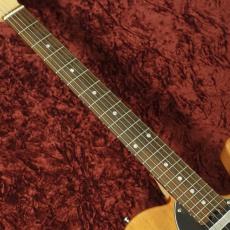 SCHECTER OL-PT-TH ONTL_6