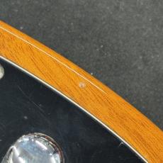 SCHECTER OL-PT-TH ONTL_11