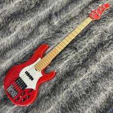 Edwards E-T-170BD See Thru Pink_2