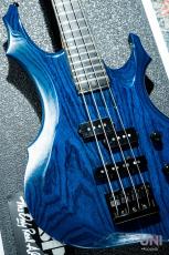 ESP FOREST-STD