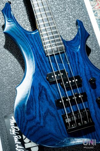 ESP FOREST-STD