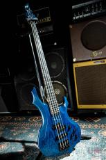 ESP FOREST-STD_2