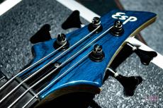 ESP FOREST-STD_4