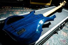 ESP FOREST-STD_10