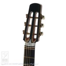 Steve Klein 365 "Joe Walsh" parlor_11
