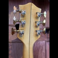 Gretsch Synchromatic 6040MC-SS_8