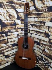 Choi Dong Soo Choi Dong Soo チェ・ドンス 2009年製 7弦 7 strings 杉・ローズウッド 20フレット【日本総本店2F 在庫品】_2