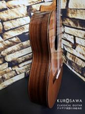 Choi Dong Soo Choi Dong Soo チェ・ドンス 2009年製 7弦 7 strings 杉・ローズウッド 20フレット【日本総本店2F 在庫品】_9