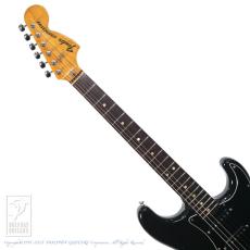 Fender Stratocaster_6