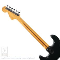 Fender Stratocaster_7