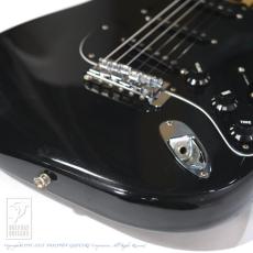 Fender Stratocaster_14