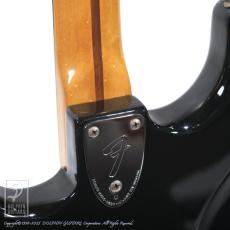 Fender Stratocaster_15