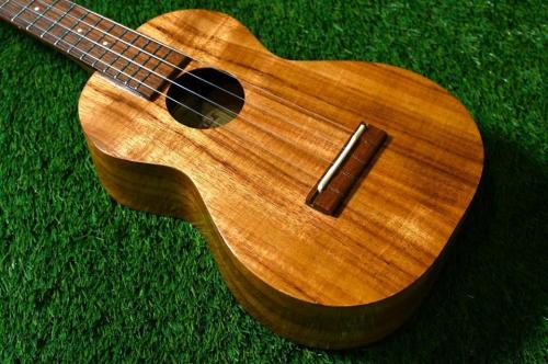 Kamaka HF-2 Cocnert【USED/2007年】