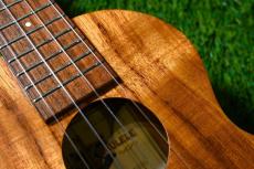Kamaka HF-2 Cocnert【USED/2007年】_9