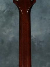 KING SNAKE Muddy Tobacco Sunburst_12