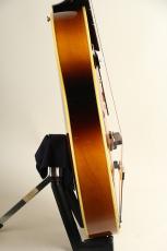 Rozeo Ladybug MIK-CTM SM-C CC / Vintage Sunburst 【S/N:RZO838】_11