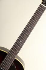 Rozeo Ladybug MIK-CTM SM CC / Tobacco Sunburst 【S/N:RZO834】_4
