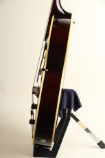 Rozeo Ladybug MIK-CTM SM CC / Tobacco Sunburst 【S/N:RZO834】_10