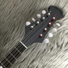 宮野厚志 M-1 マンドリン/ローズウッドラウンドマンドリン_4