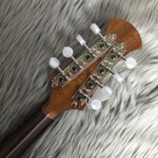 宮野厚志 M-1 マンドリン/ローズウッドラウンドマンドリン_7