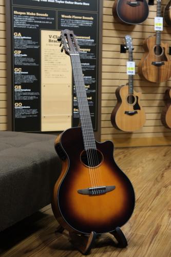 YAMAHA NTX1 / BS