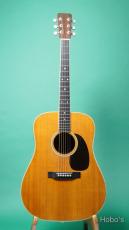 Martin D-35_2