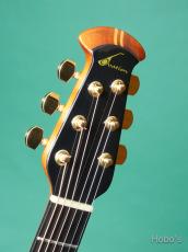 Ovation 1984-5 "The Ovation Collector's Series" w/PU (1Vo、1Tone)_3
