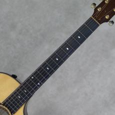Taylor Custom GCce Adirondack Spruce/Indian Rosewood_7