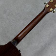 Taylor Custom GCce Adirondack Spruce/Indian Rosewood_8