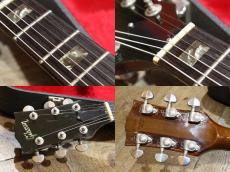Gibson SG Special_8