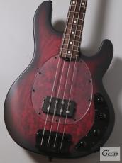 Sterling by MUSIC MAN RAY34PB -Dark Scarlet Burst Satin-【4.28kg】