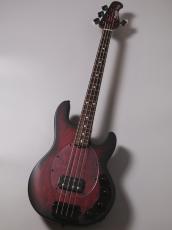 Sterling by MUSIC MAN RAY34PB -Dark Scarlet Burst Satin-【4.28kg】_2