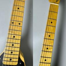 RS Guitarworks TeeVee Standard -Butterscotch- #RS126-1 【アッシュボディ】【ミディアムエイジド】_4
