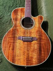 Takamine FPT531KC N #62010267【国産エレアコ】【オールコア】_7