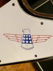 Gibson Thunderbird IV Bicentennial Edition Sunburst_5