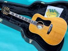 Guild D-55 NT