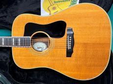 Guild D-55 NT_2