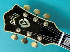 Guild D-55 NT_5
