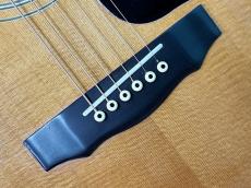 Guild D-55 NT_10