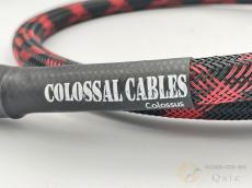 Colossal Cable Colossus Speaker Cable 3ft ST/ST [MLN39]【梅田店在庫】_4