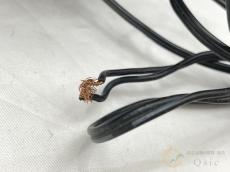 BOSE 101MM ペア 2020年製 [OLM64]【梅田店在庫】_7