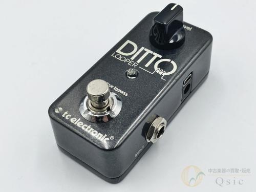 tc electronic DITTO LOOPER [XK108]【箕面店在庫】