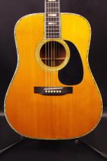 Martin D-45
