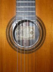 Fransisco Simplicio 松/ハカランダ単板_5