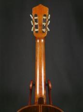 Fransisco Simplicio 松/ハカランダ単板_6