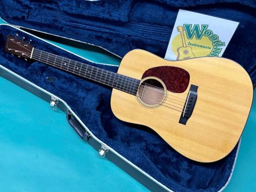 Martin D-18GE