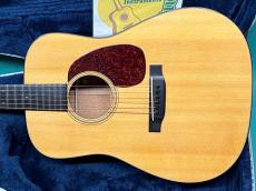 Martin D-18GE_2